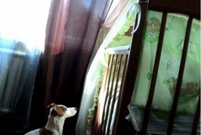 Друг, который всегда попадает в кадр