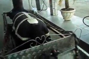 Девушка, заправьте мою карету!