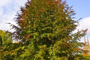 Как мебель стала украшениями