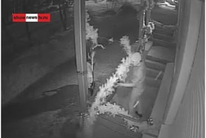 "Кражу века" сняли камеры наблюдения
