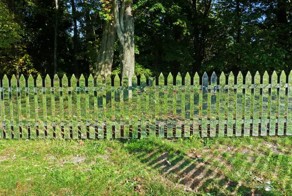 Смешные картинки