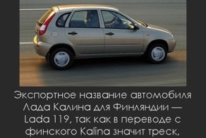Интересные факты о разном