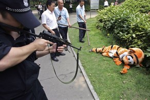 Репетиция побега животных из своих вольеров