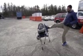 Когда ты собака-робот и тебя никто не любит