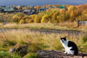 Жизнь северного села Хонгурей