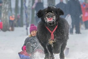 Вот и первые &quot;ласточки&quot;