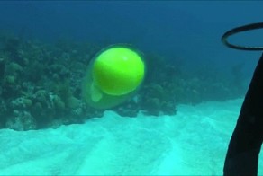 Небольшая подборка познавательных гифок