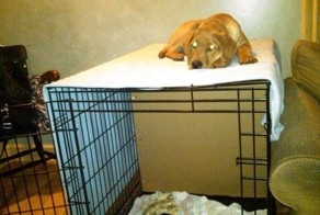 Фотоальбом