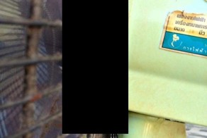 Неприятный утренний сюрприз