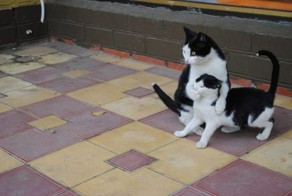 Прикольные фото и картинки от zubrilov за 15.01.2013 №142615