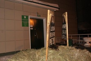 Навозный бунт