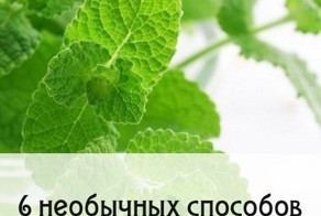 6 способ использования мяты
