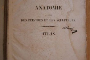 Атлас пластической анатомии