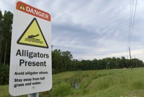 Дата-центр Google