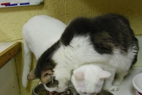 Смешные картинки