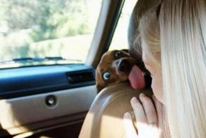 Смешные рисунки