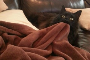 Отпадные фотки