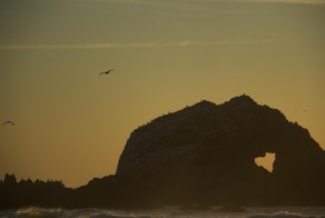 37 фотографий о том, что природа нас любит