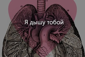 День святого Валентина в анатомических открытках