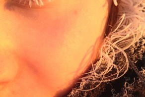 Бесплатно фото