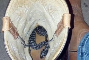 Прикольные фото