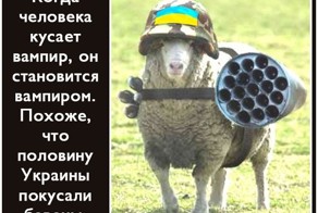 Спите дальше!