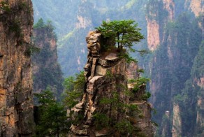 По следам аватара