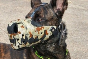 Эксклюзивные намордники для собак