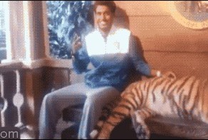 Прикольные гифки. Часть 2