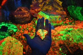 38 достопримечательностей, которые нужно посетить в Китае
