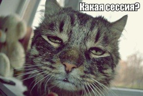 Бесплатный фотоприкол