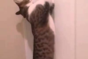 Захлопнулась дверь? Не беда. МЧС всегда поможет