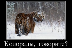 13 вопросов &quot;свидомитам&quot; продожение