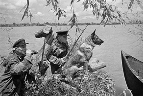 Первые дни войны!