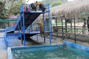 Фотоприкол дня