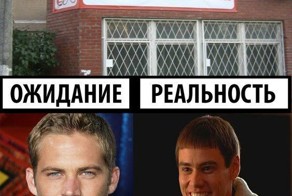 Смешная фотогалерея