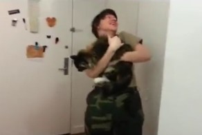 Коты встречают хозяев после службы в армии