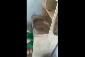 Полицейские нашли голову маленькой девочки