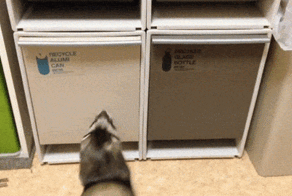 Место уже заняли