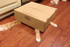 Фотоальбом