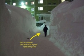 Смешные картинки