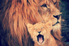 Царь зверей