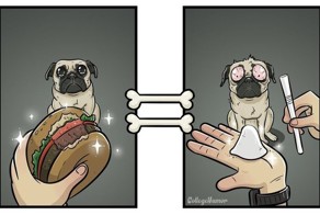 Мир глазами собак