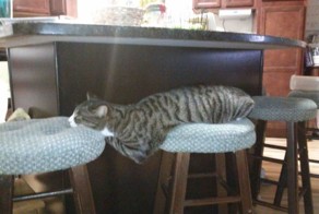 Прикольные фото