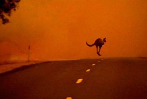 Смешной фотоприкол