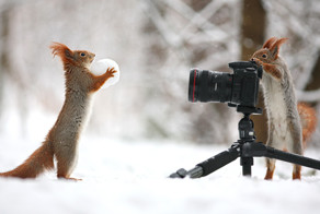 Фотоподборка за 19.02.2015