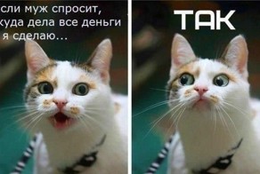 13 фактов о зарплате