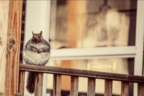 15 фотографий о нашей многогранной жизни