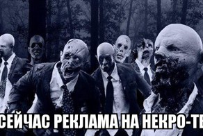 Власти Подмосковья организуют онлайн-трансляцию с кладбищ