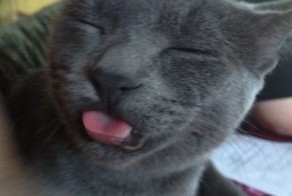 Шикарное фото